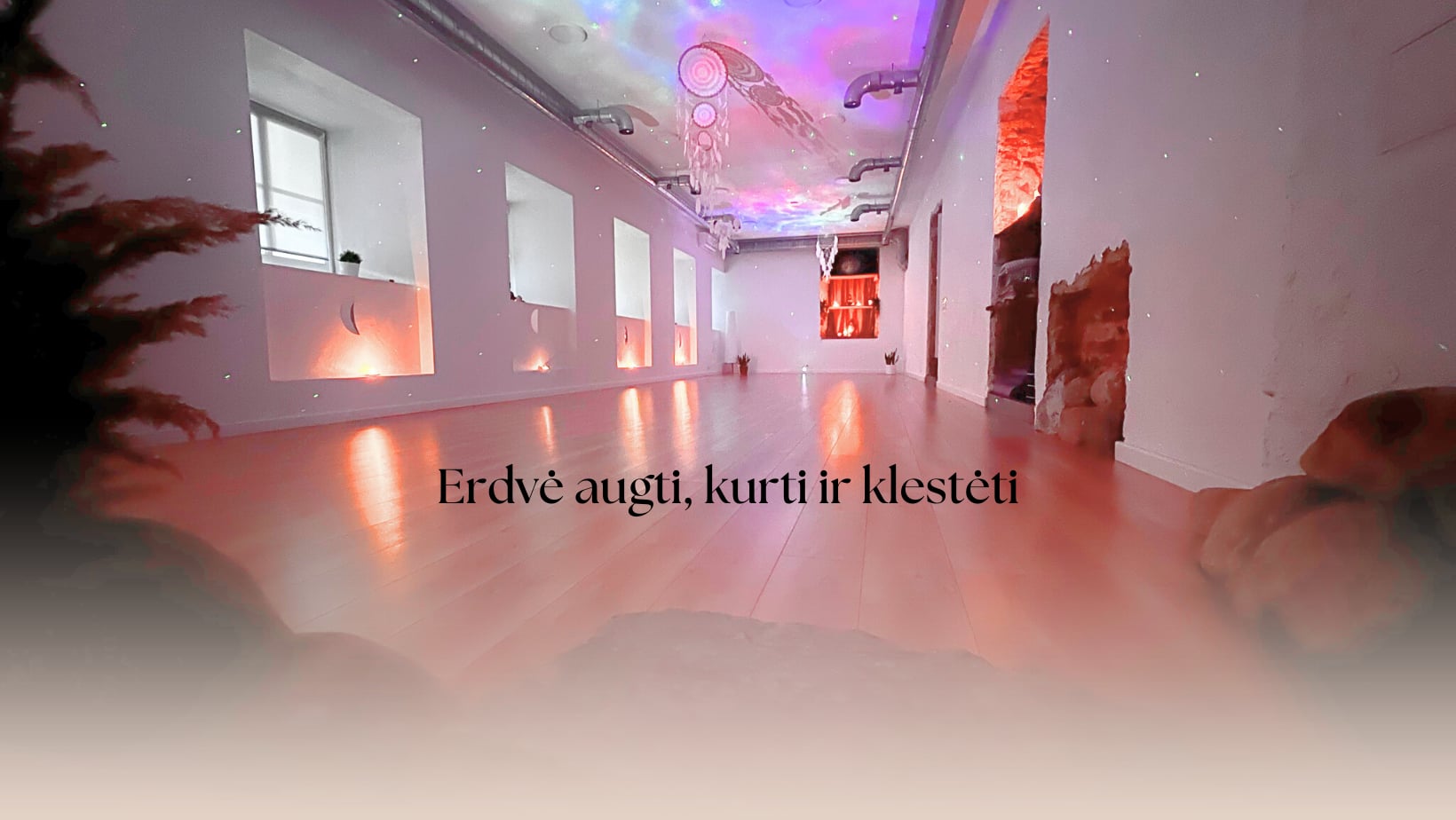 Yantra/Vinyasa/Yoga matutino con Gina