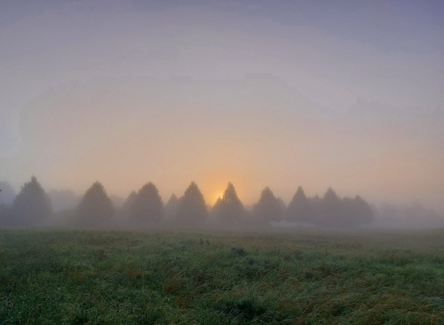 Campamento del Silencio