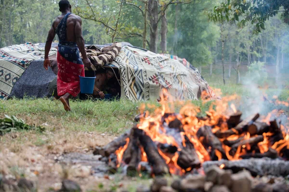 6-day Retiro Holístico de Ayahuasca – Petit Comitè Ed