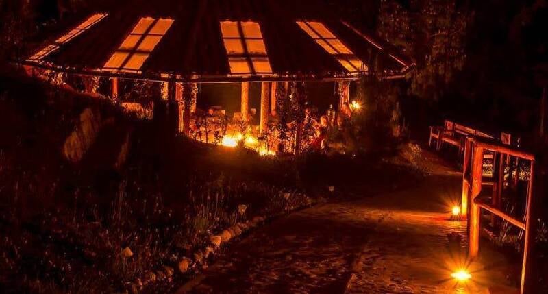 Ayahuasca & San Pedro – Gaia Sagrada