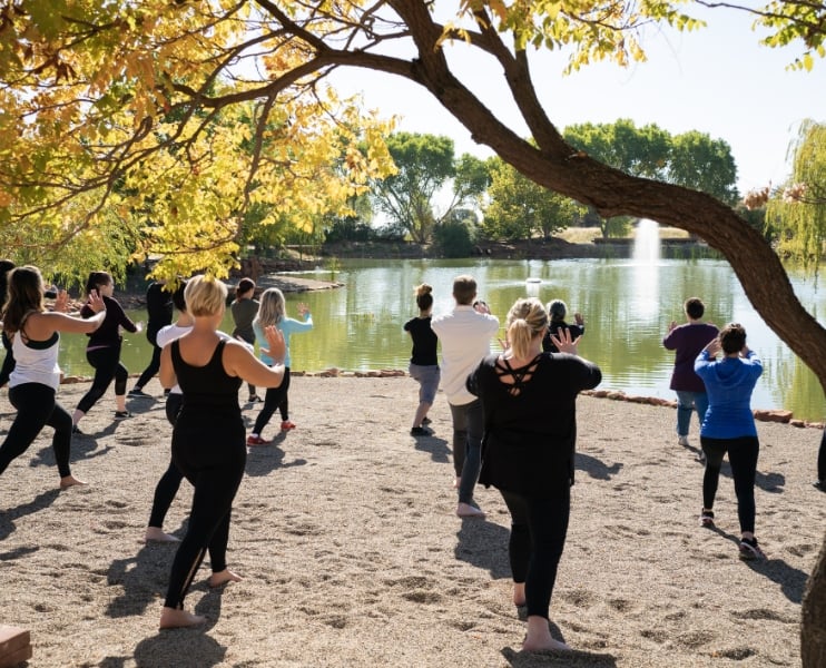 Retiro desintoxicante revitalizante