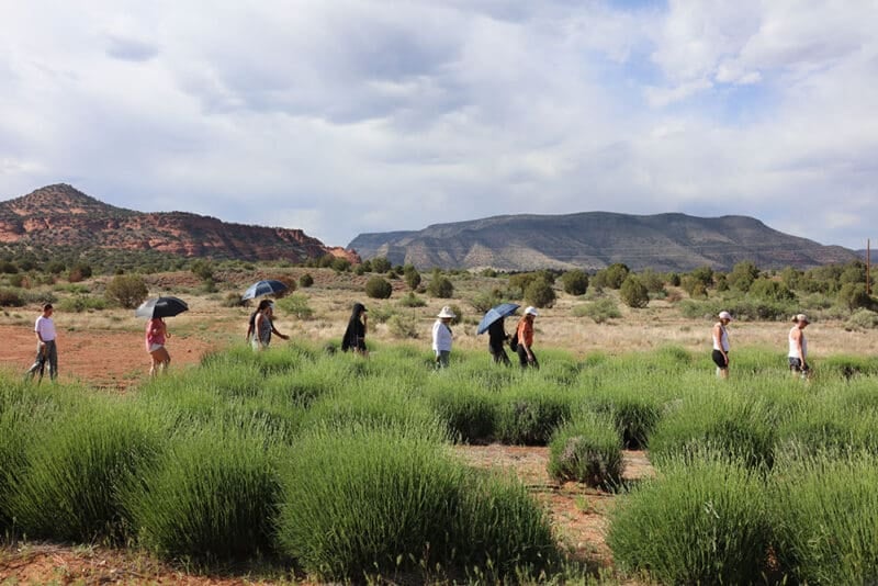 Sedona Vortex Healing Retiro