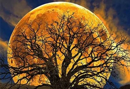 Retiro de contemplación de la luna llena: Recalibrando el corazón