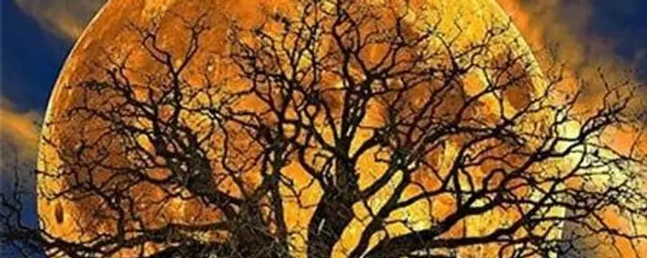 Retiro de contemplación de la luna llena: Recalibrando el corazón