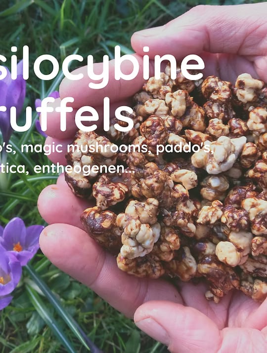 retiro de trufas de 5 días en nuestro Nature Temple