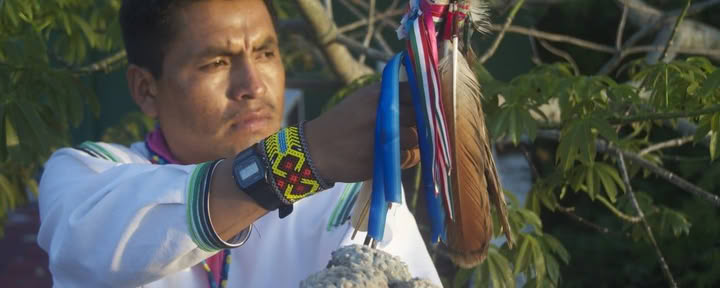 Ayahuasca Soul Journey, 4 Días