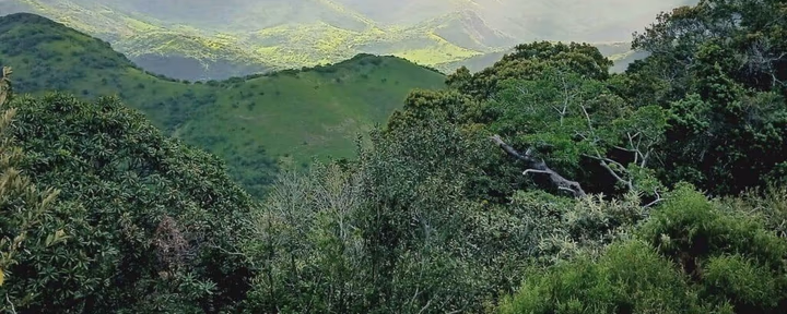 5 Day "INJOY" Retiro - Breathe into Bliss at Magwa Falls