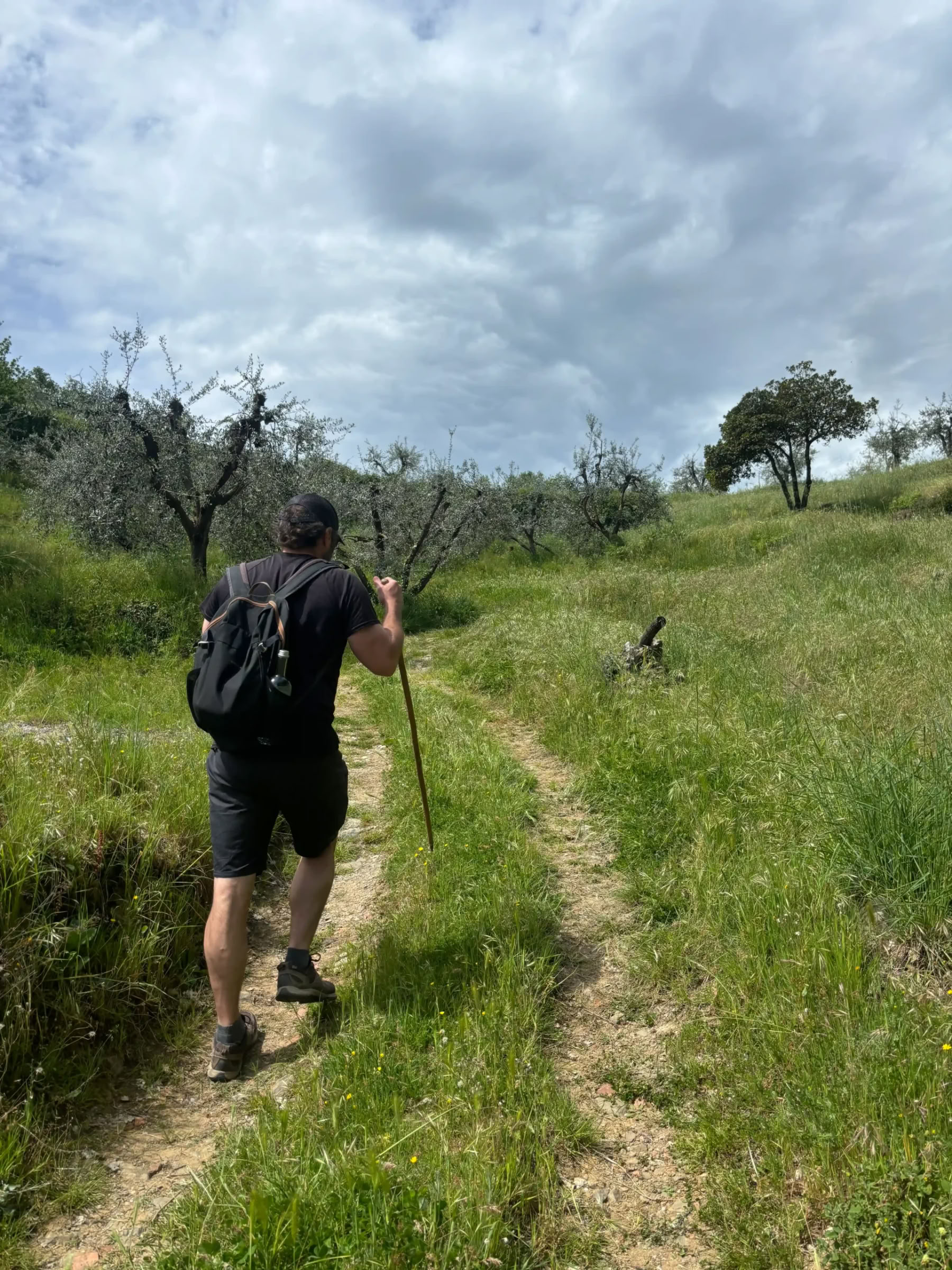 Yoga y Fitness – (4 Día/3 Noche)