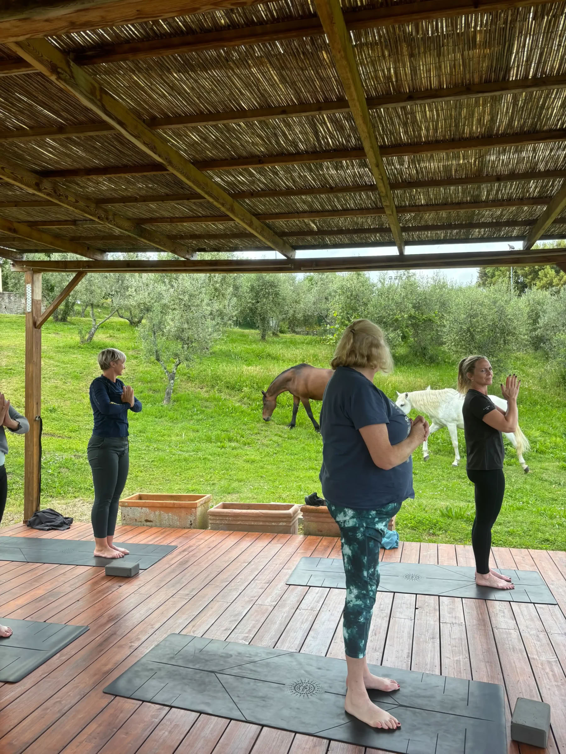 Yoga y Fitness – (4 Día/3 Noche)