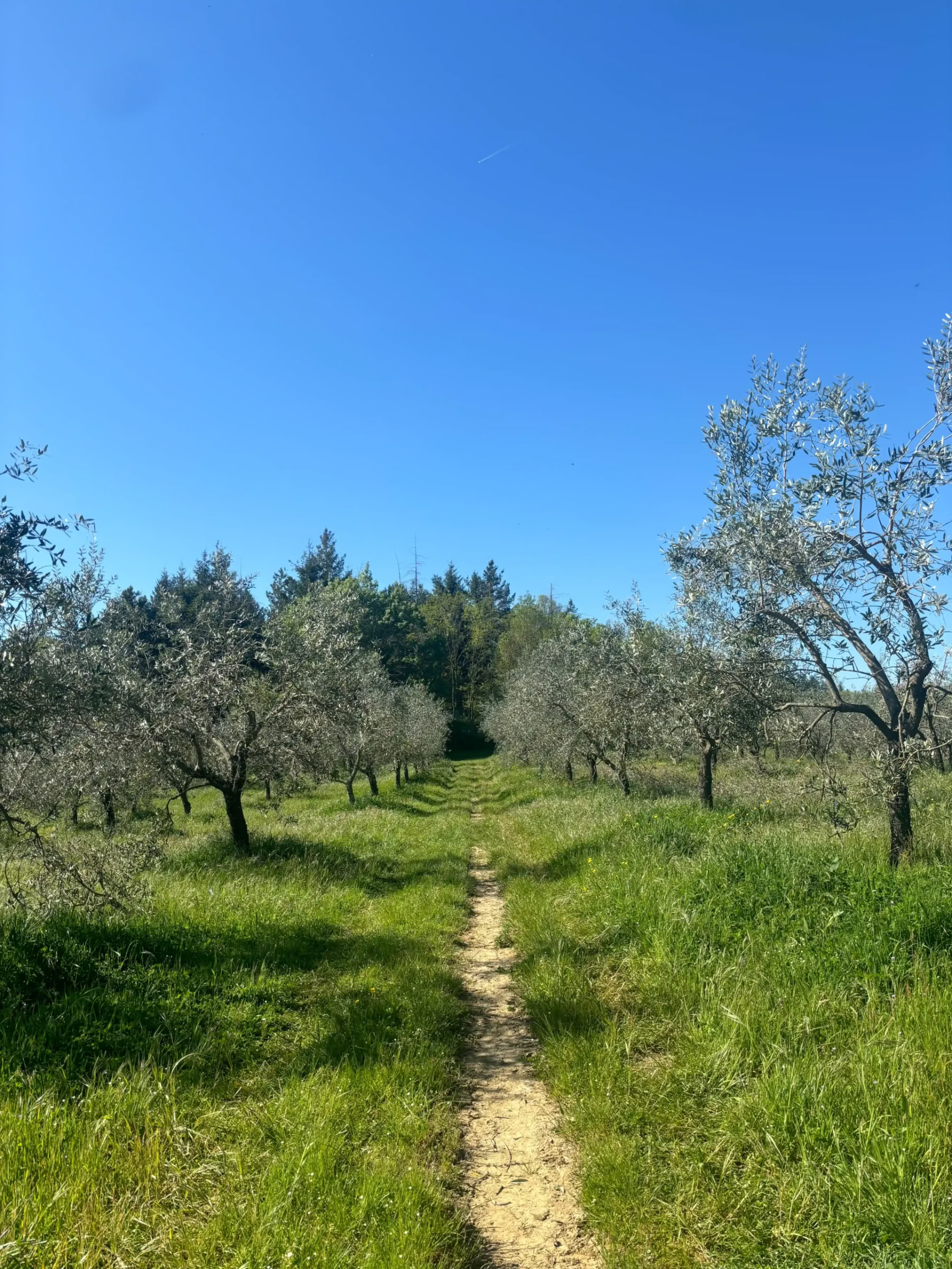 Yoga y Fitness – (4 Día/3 Noche)