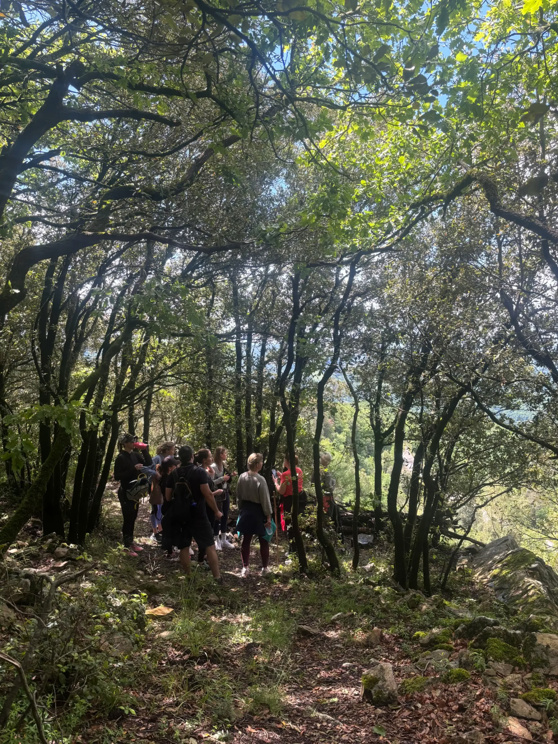 Yoga & Fitness Retiro en Tuscany