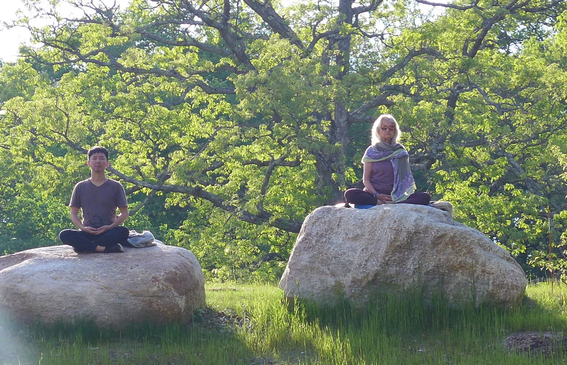 Just Be: Un retiro personal de primavera