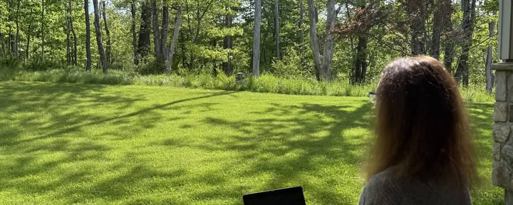 Próximos programas de John Henderson – Write Now. Un retiro de verano para escritores