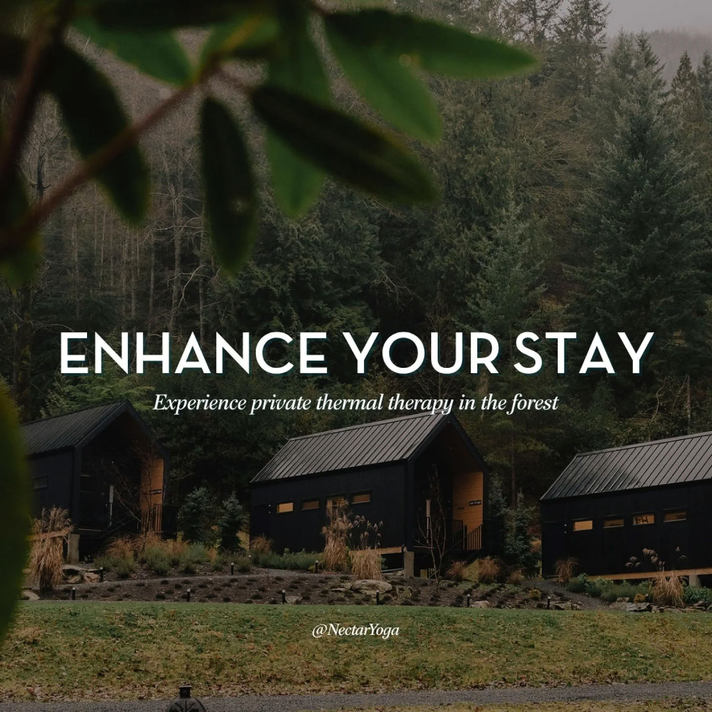 Stoke + Soothe, Un Ritual de Respiración + Cuerpo Para el Resplandor Interior | Bowen Island Yoga