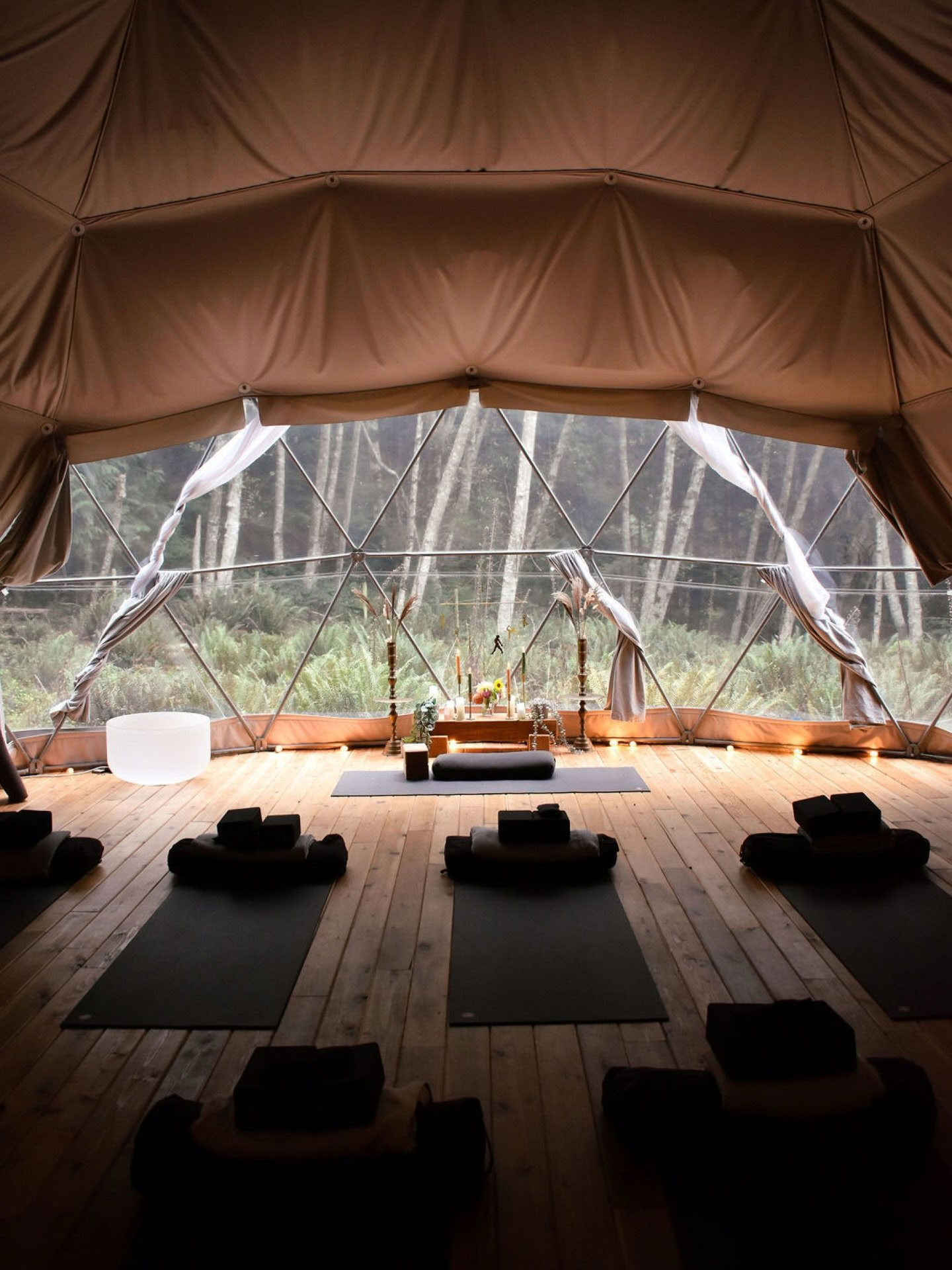 Ashtanga Yoga Day Intensive: La magia curativa de Vinyasa | Nectar On Bowen Island