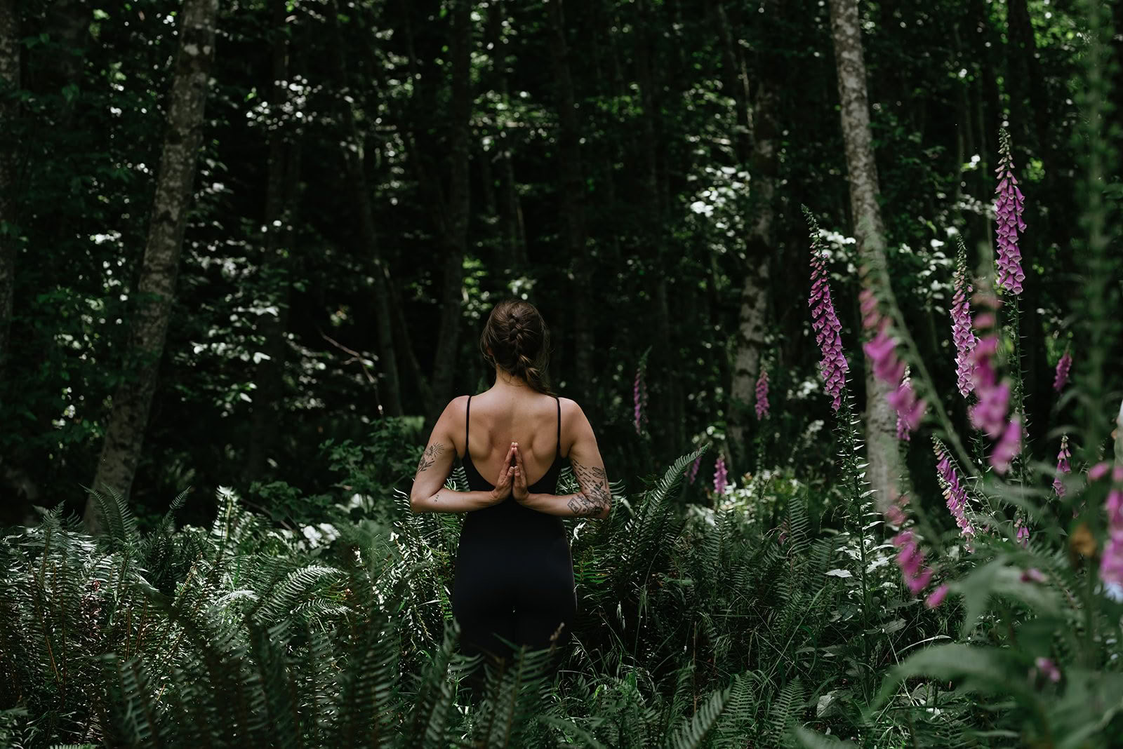 Solsticio de Verano: Un Viaje de Movimiento y Quietud
