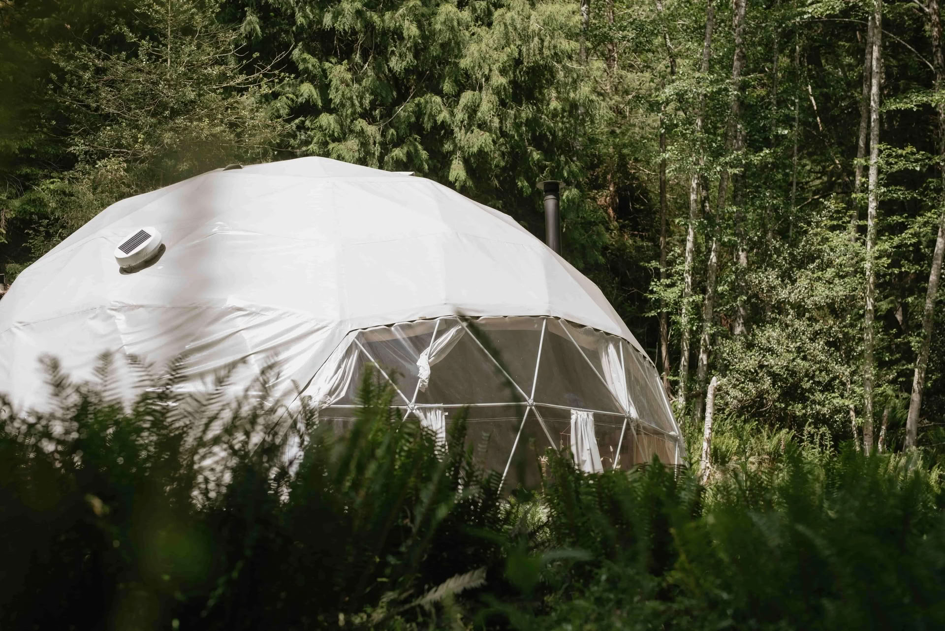Return to Joy Day Retiro with Slow Burn Wellness | Nectar Yoga Bowen Island
