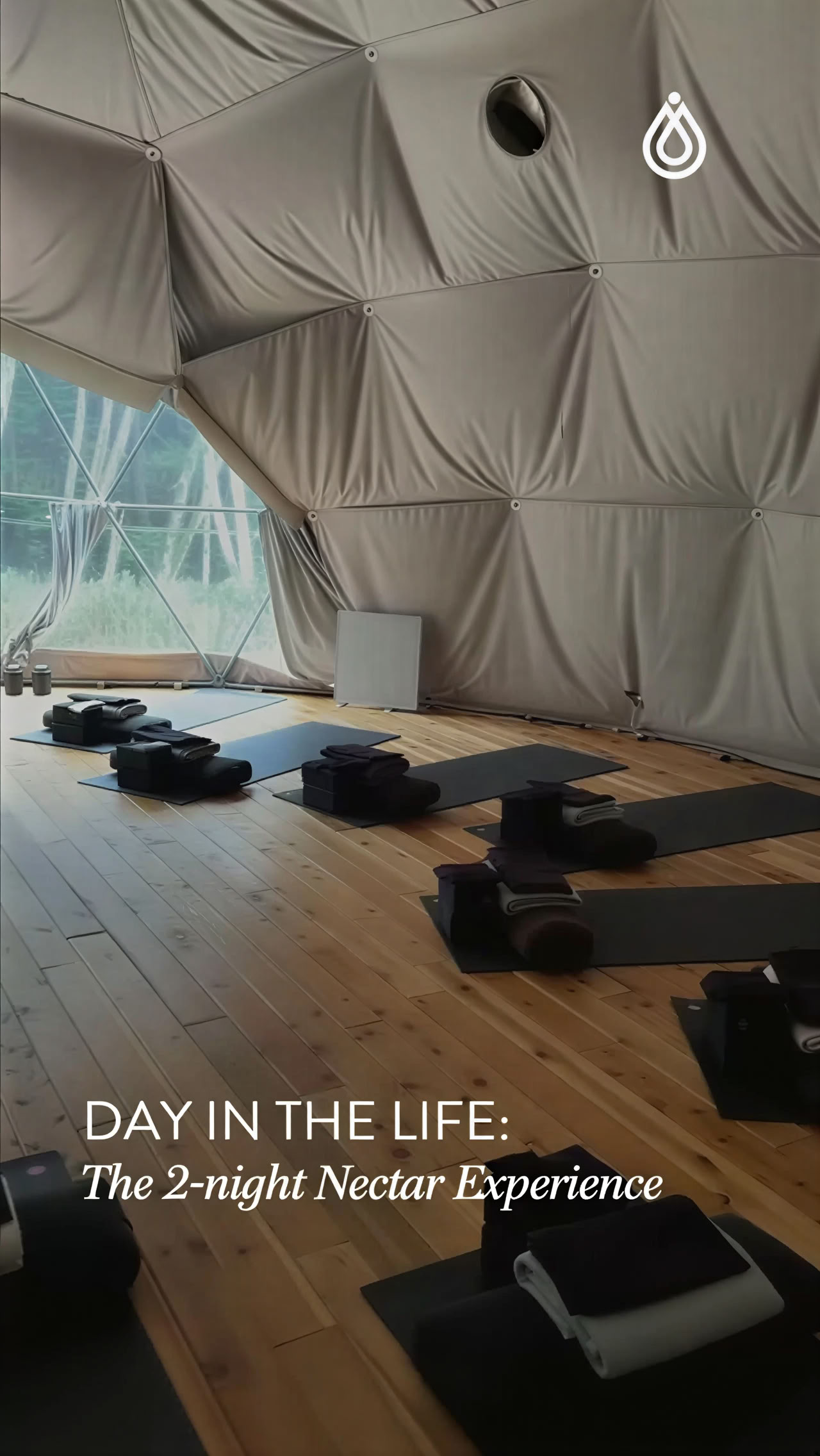 Ceremonial Yin Yoga Con Harmony