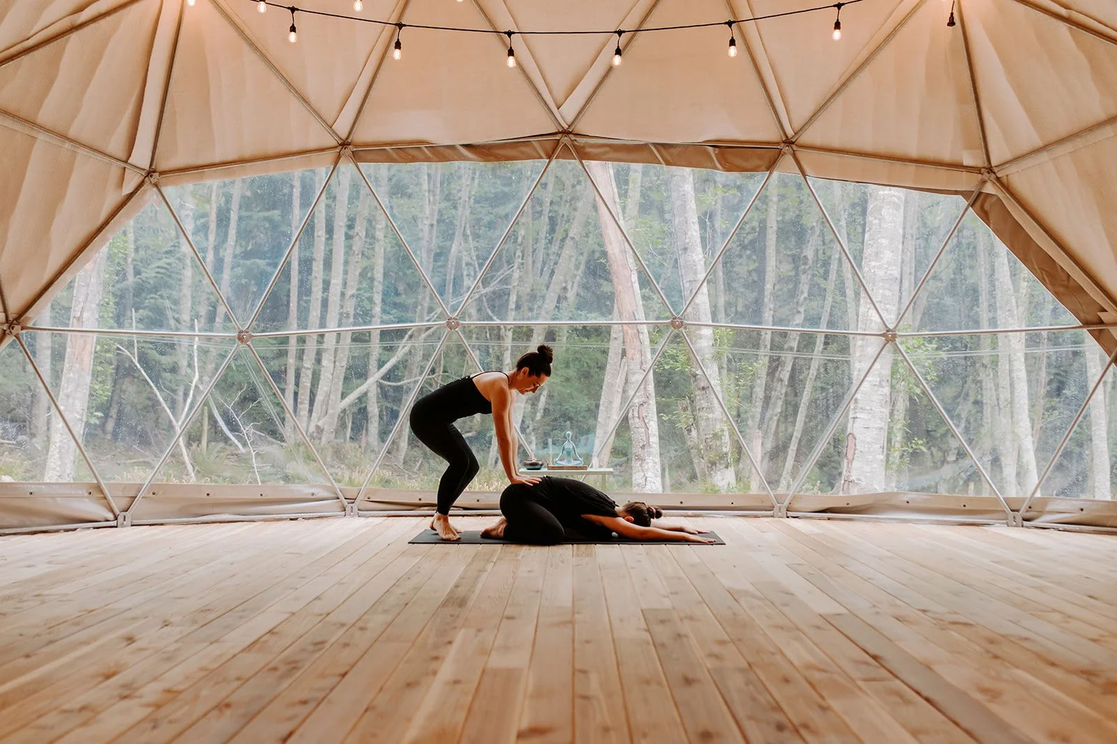 One Day Mindfulness Retreat