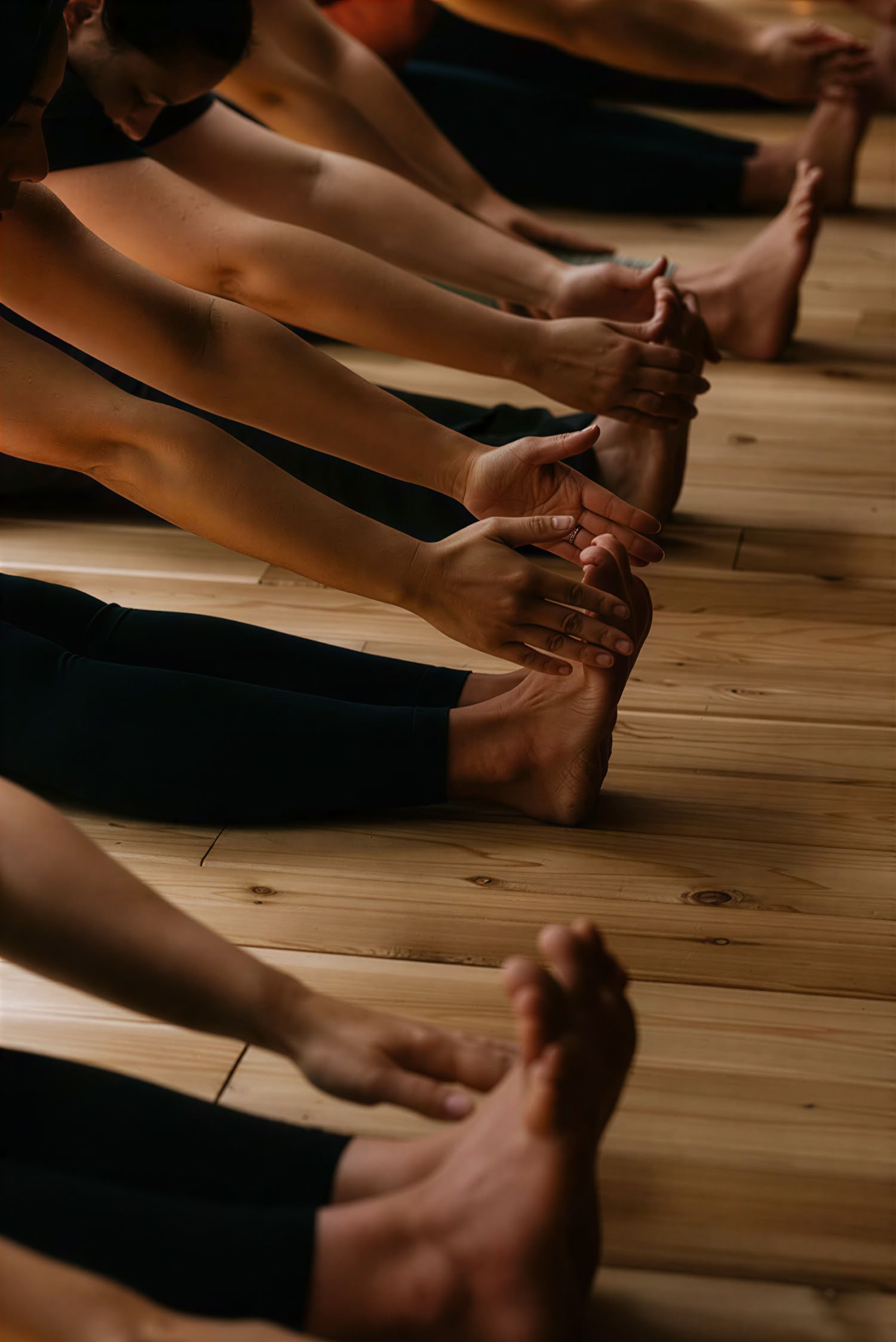 One Day Mindfulness Retreat