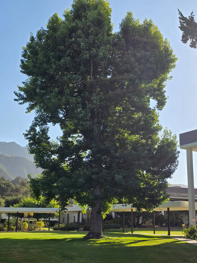Retiro de Meditación en Asís