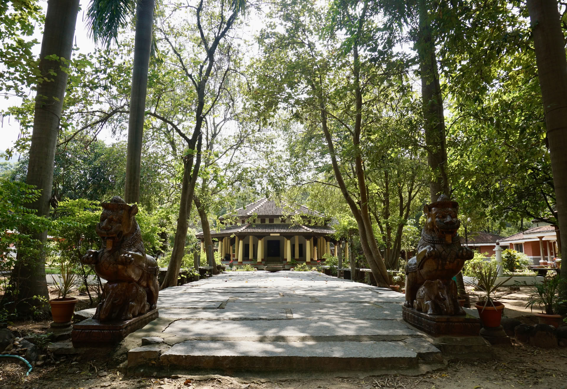 Retiro Ashram de Detox de Meditación Silenciosa de 21 Días en India