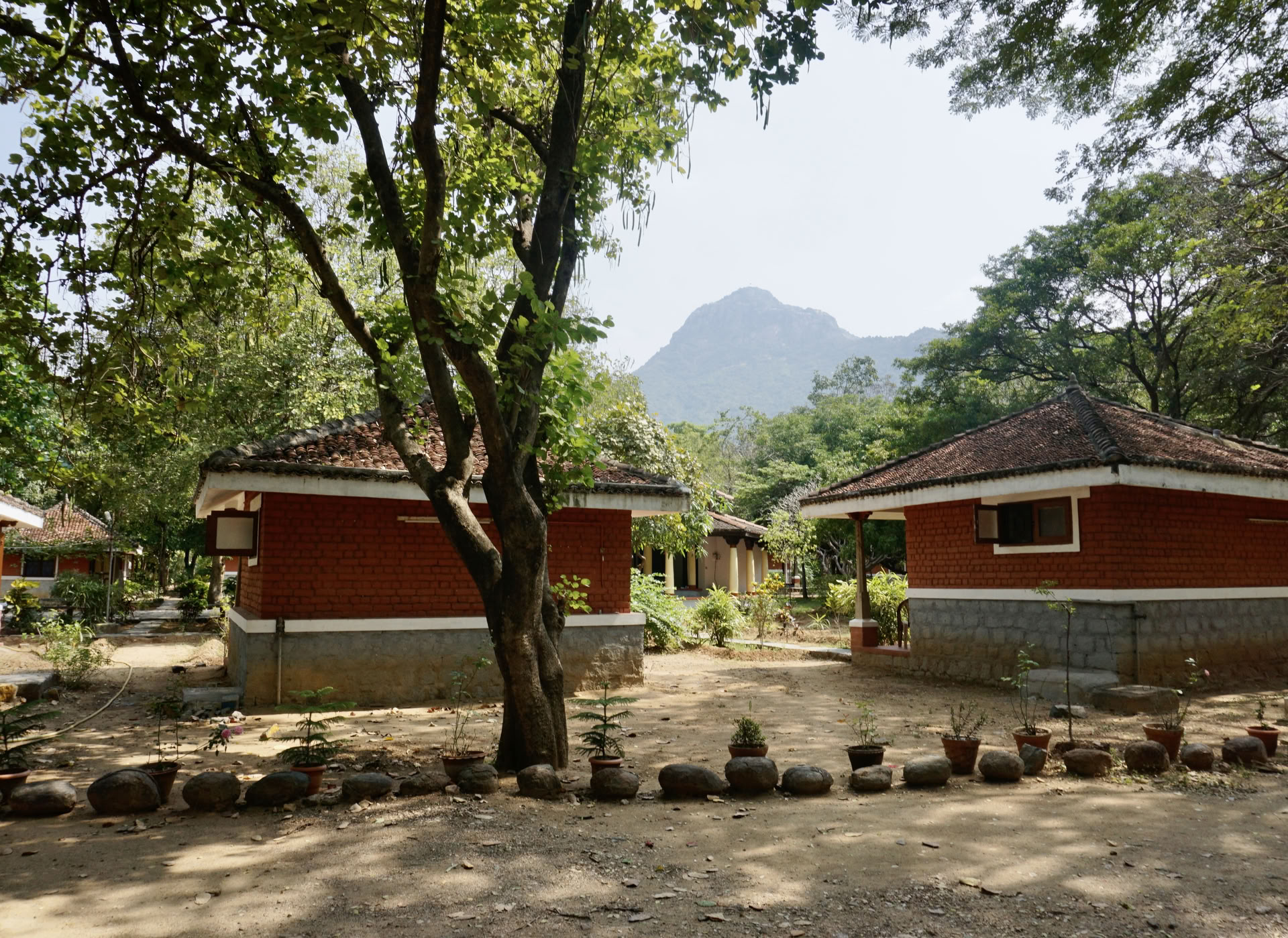 Retiro Ashram de Detox de Meditación Silenciosa de 21 Días en India