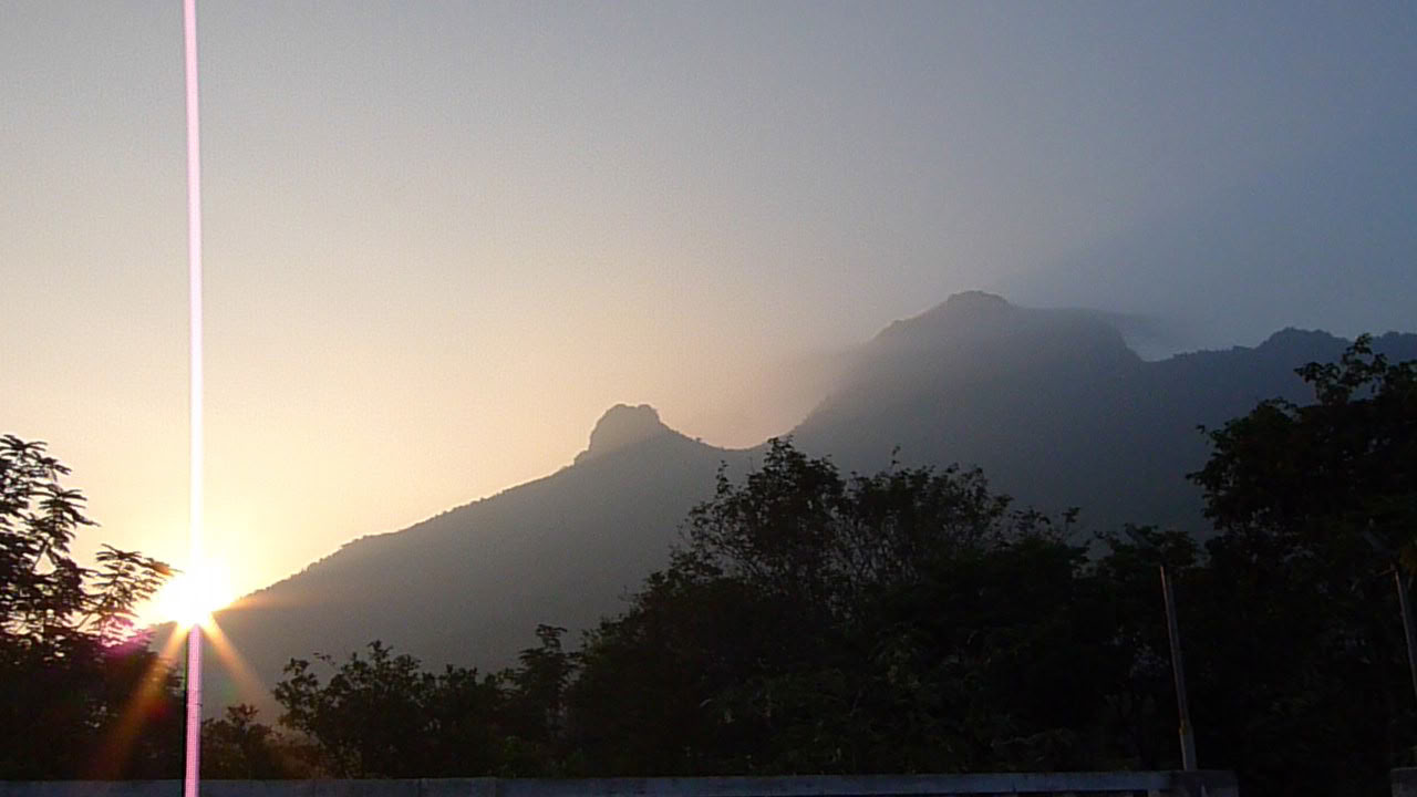 Retiro Ashram de Detox de Meditación Silenciosa de 21 Días en India