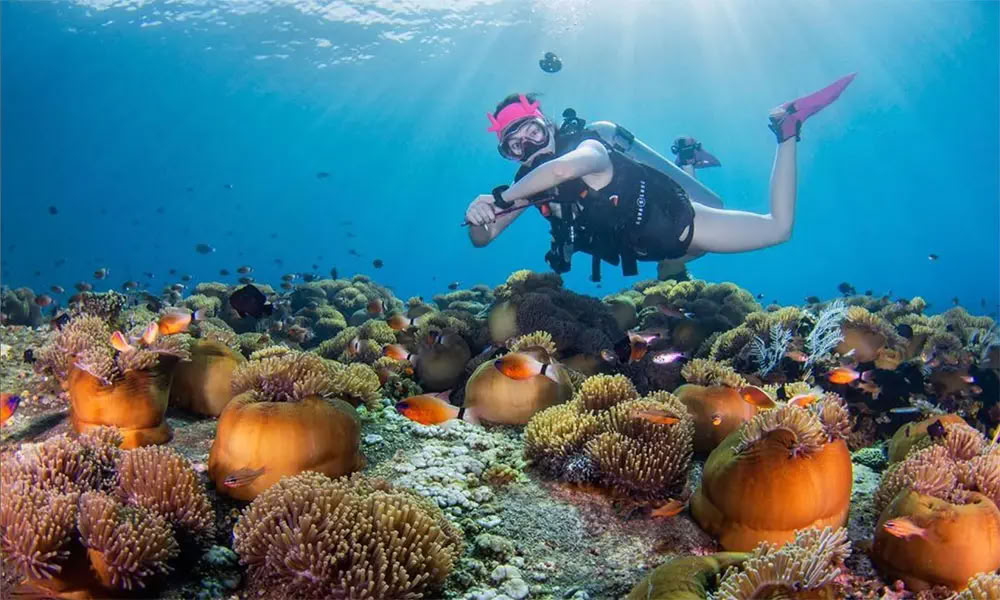 Buceo en la Isla Menjangan