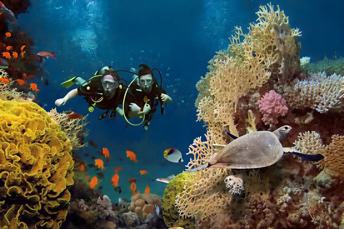 Buceo en la Isla Menjangan