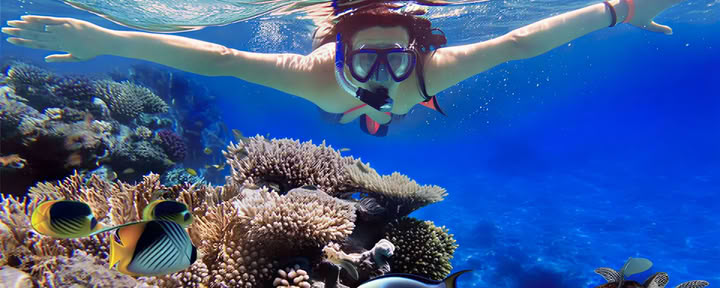 Aventuras en el Arrecife: Snorkel en Lovina