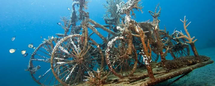 Inmersión introductoria en Lovina Reef 2 inmersiones