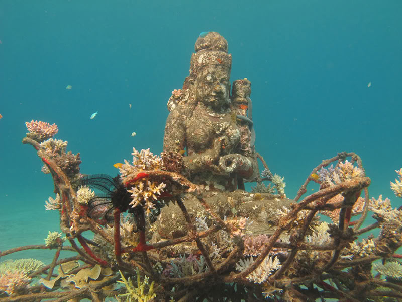 Tour de Pemuteran con snorkel