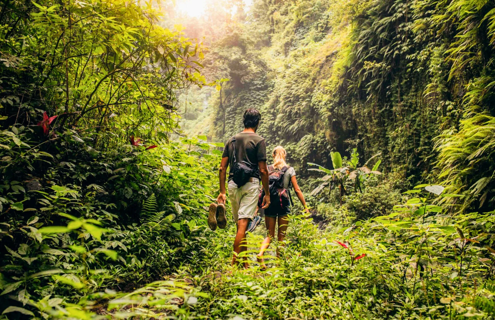 ZEN TREKKING Y DESCUBRIMIENTO DE CASCADAS