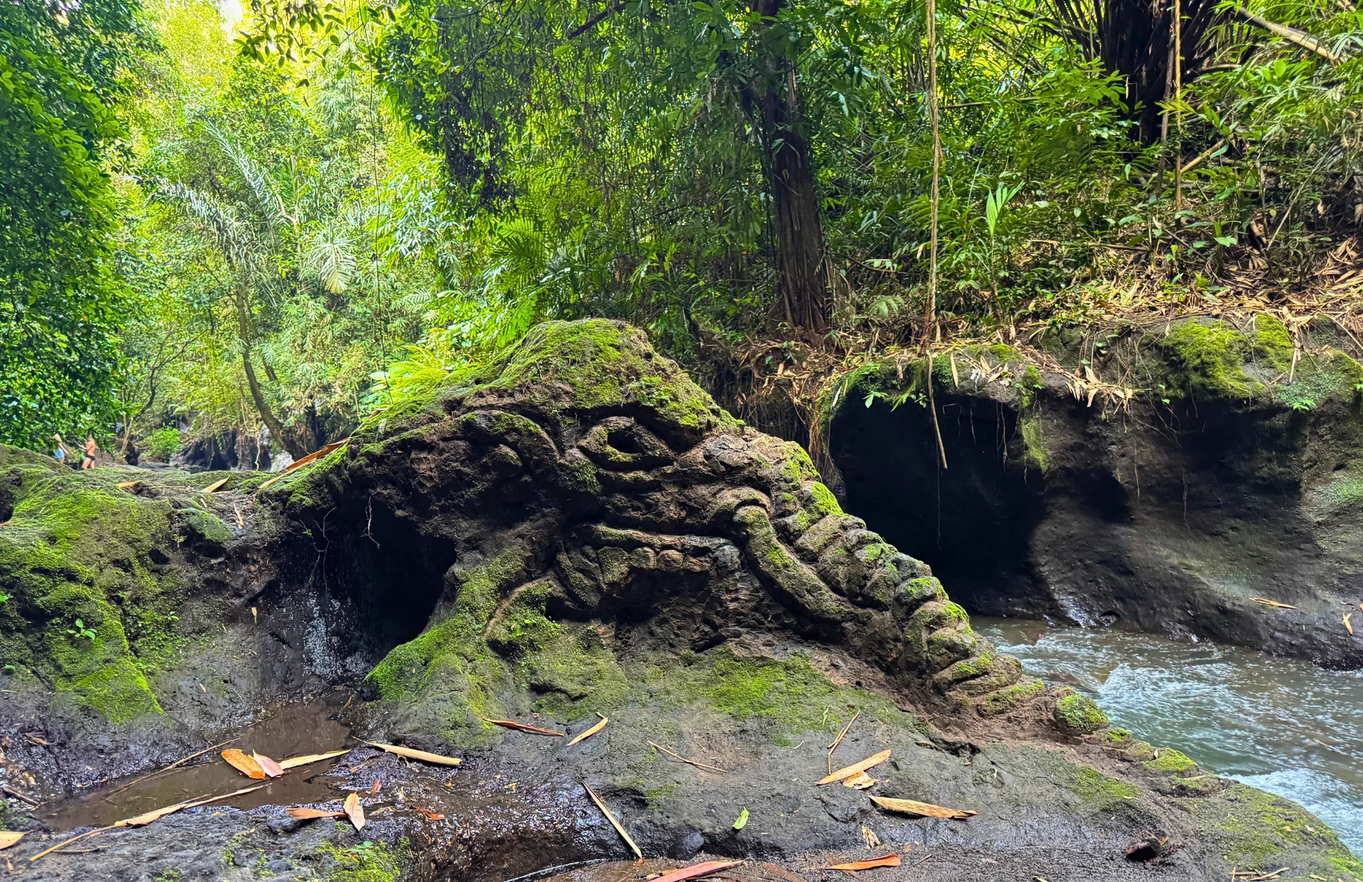 De los senderos de la jungla a la paz interior