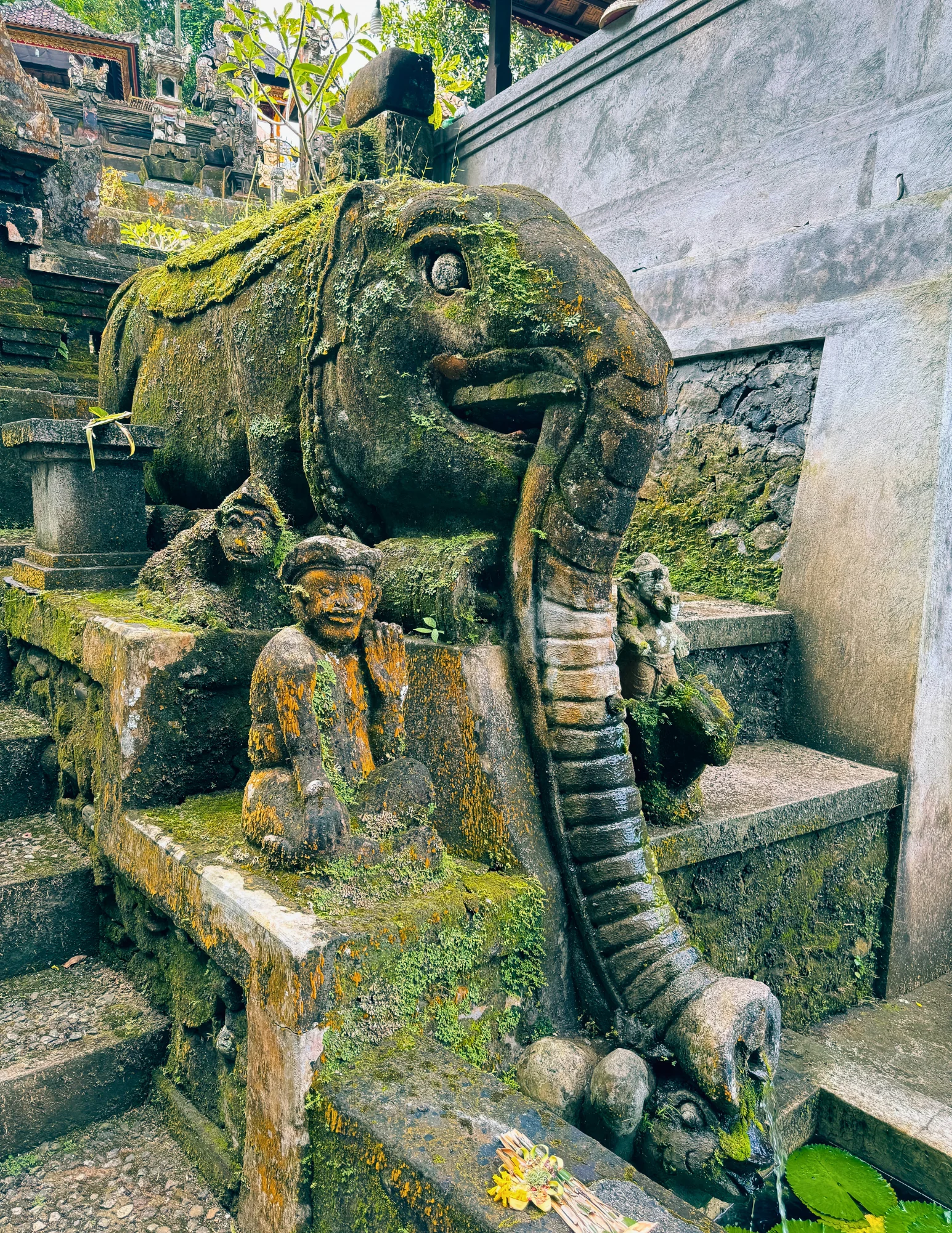 De los senderos de la jungla a la paz interior