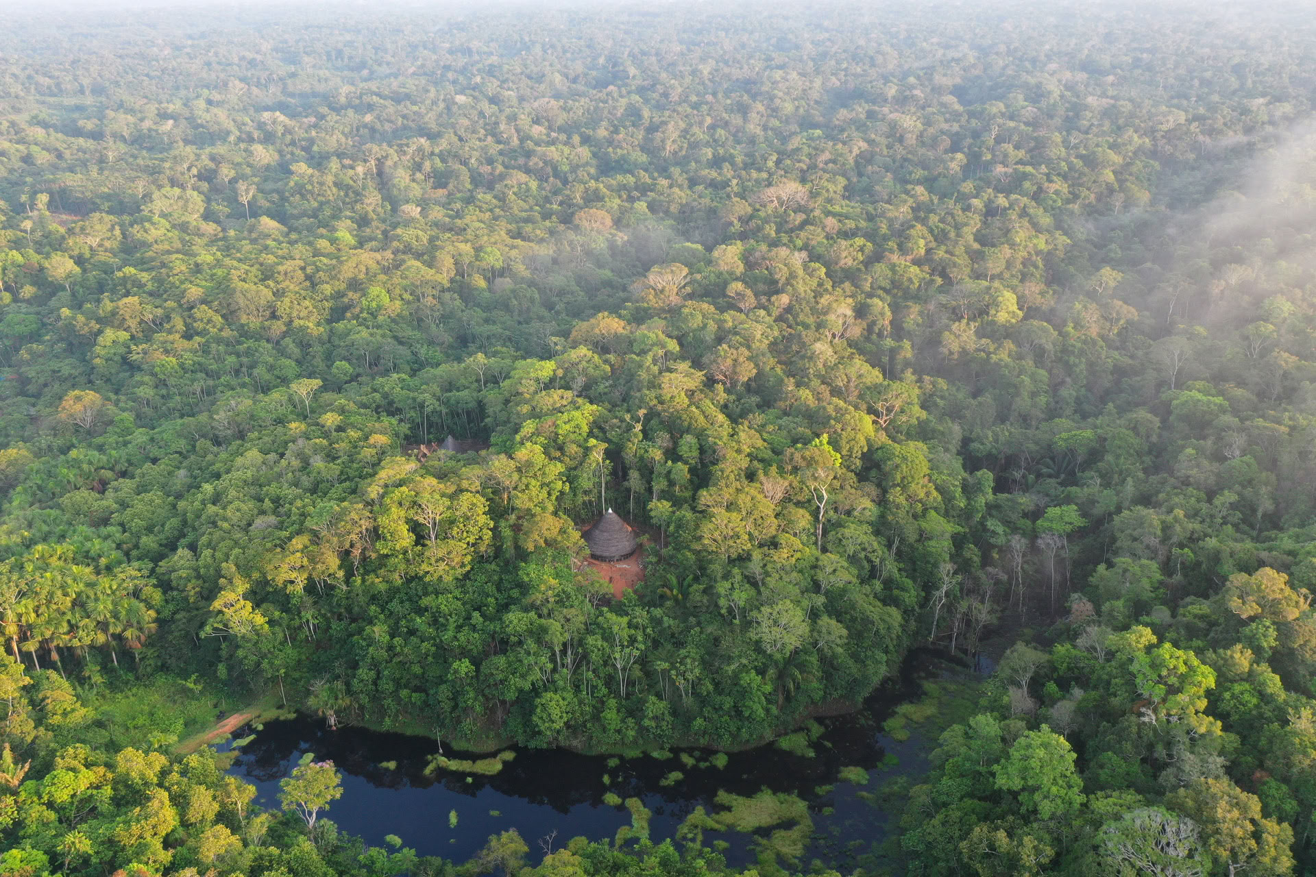 Otwarty retiro ayahuaskowy w Psychonauta Tribe