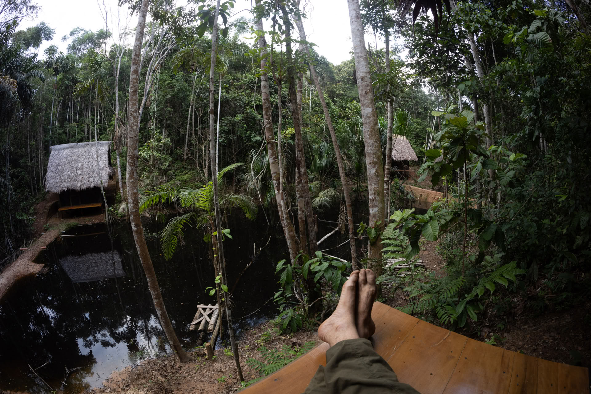 Otwarty retiro ayahuaskowy w Psychonauta Tribe