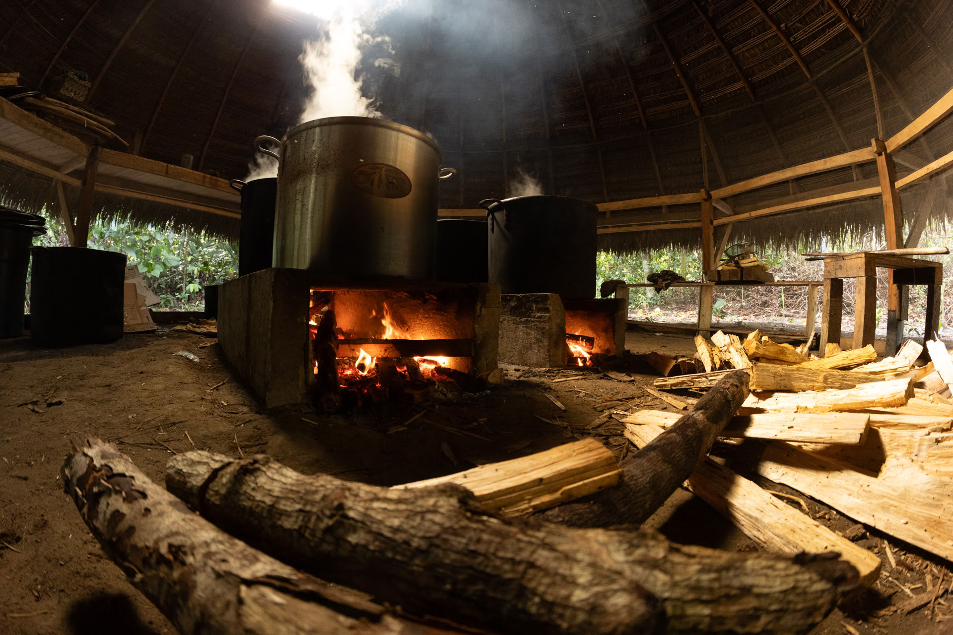 Retiro Abierto de Ayahuasca