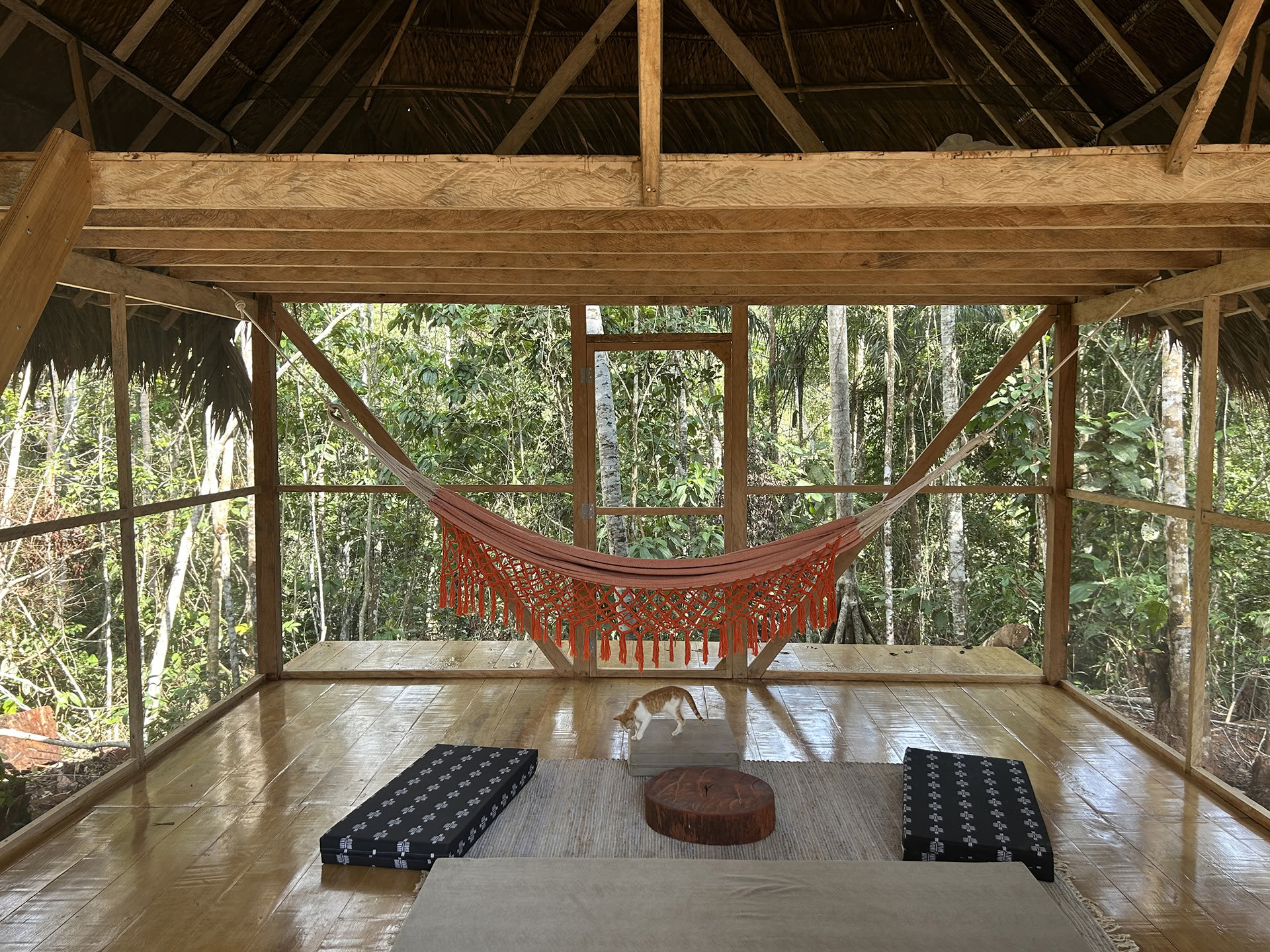 Retiro Abierto de Ayahuasca