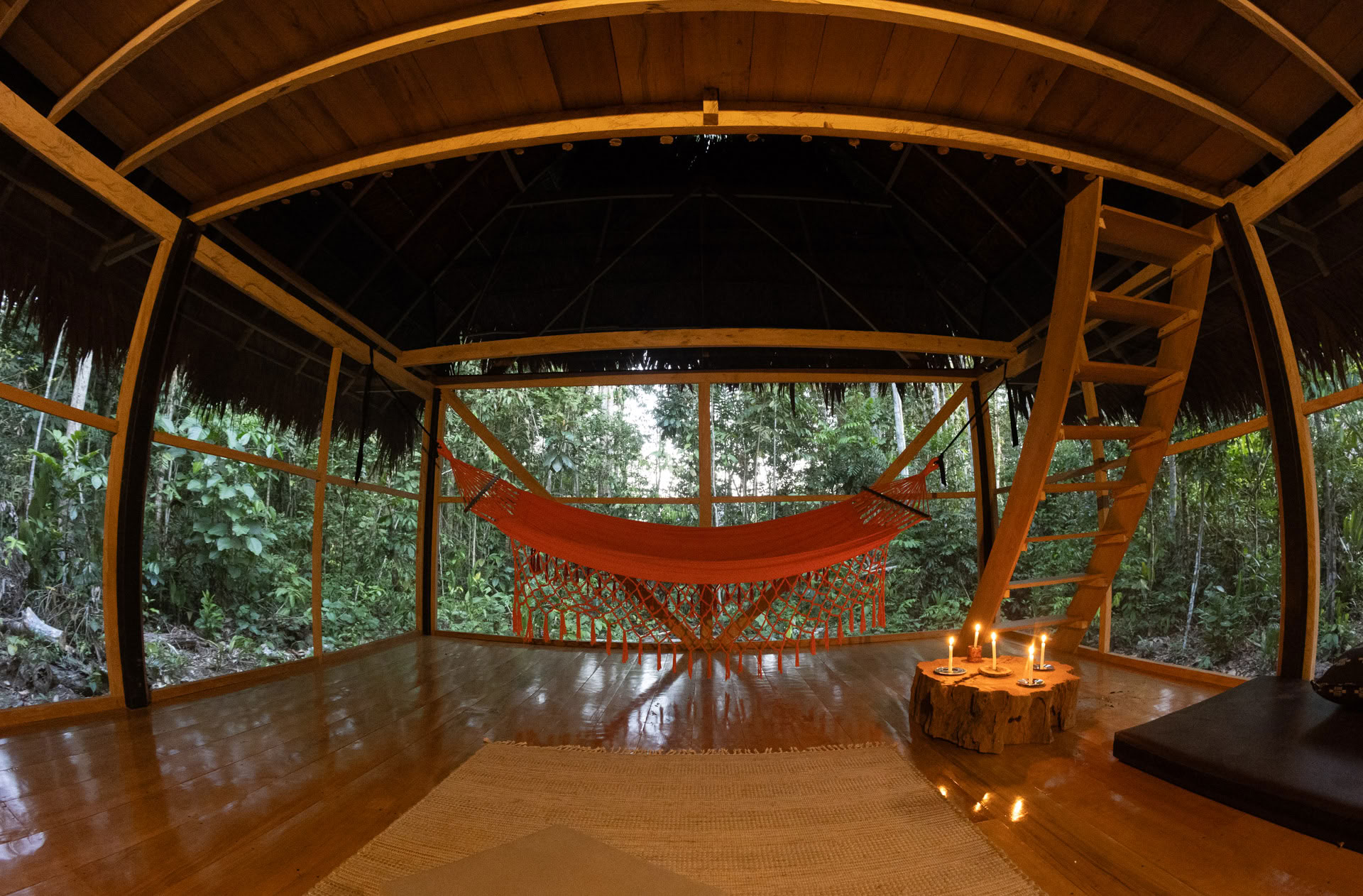 Retiro Abierto de Ayahuasca
