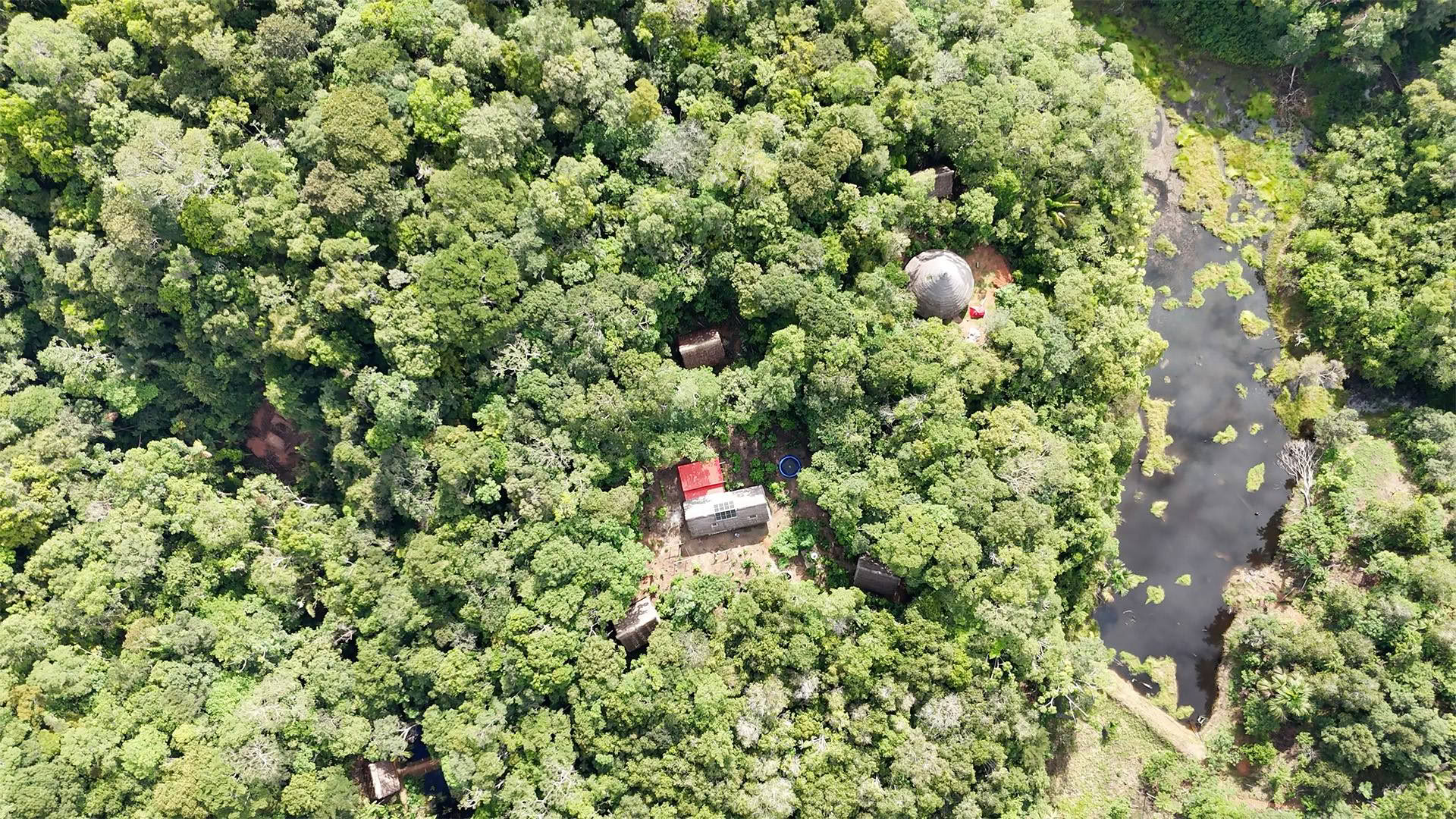 Retiro Abierto de Ayahuasca