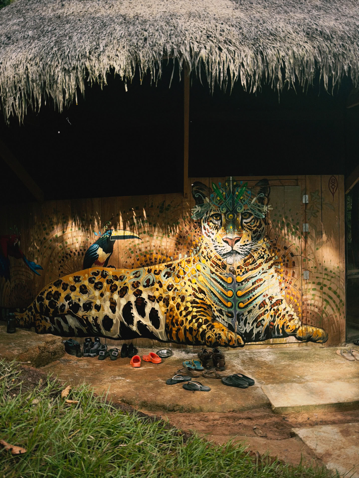 Retiro Abierto de Ayahuasca