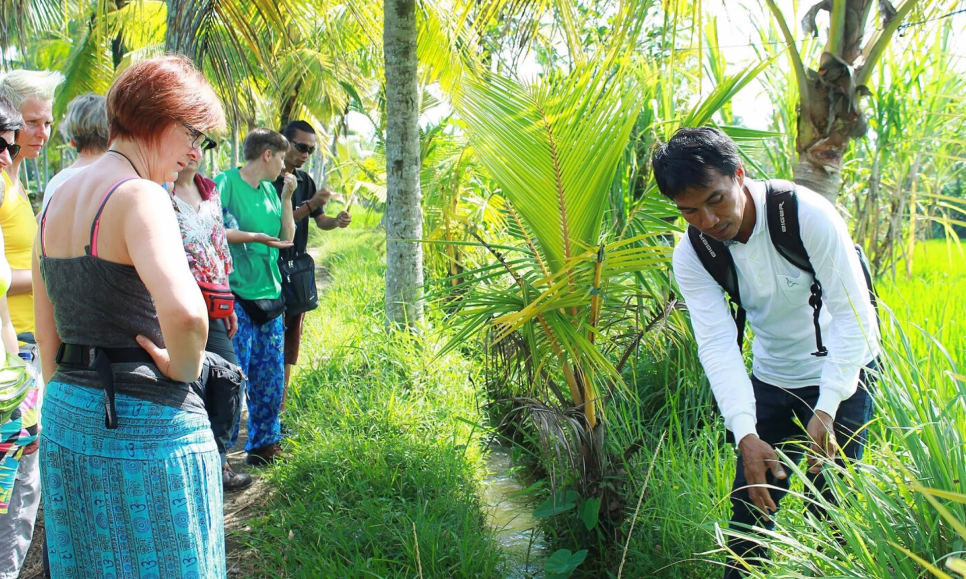 PASEO HERBAL POR LA NATURALEZA