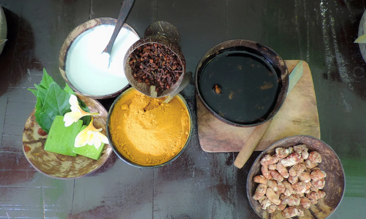 PASEO HERBAL POR LA NATURALEZA