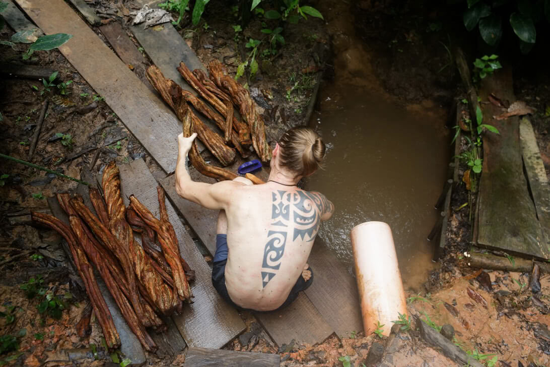 Retiro de Ayahuasca y Dieta de Plantas Maestras en Perú