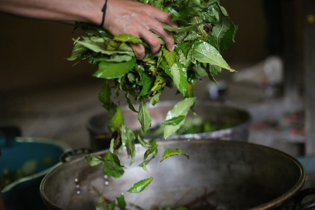 Retiro de Ayahuasca y Dieta de Plantas Maestras en Perú