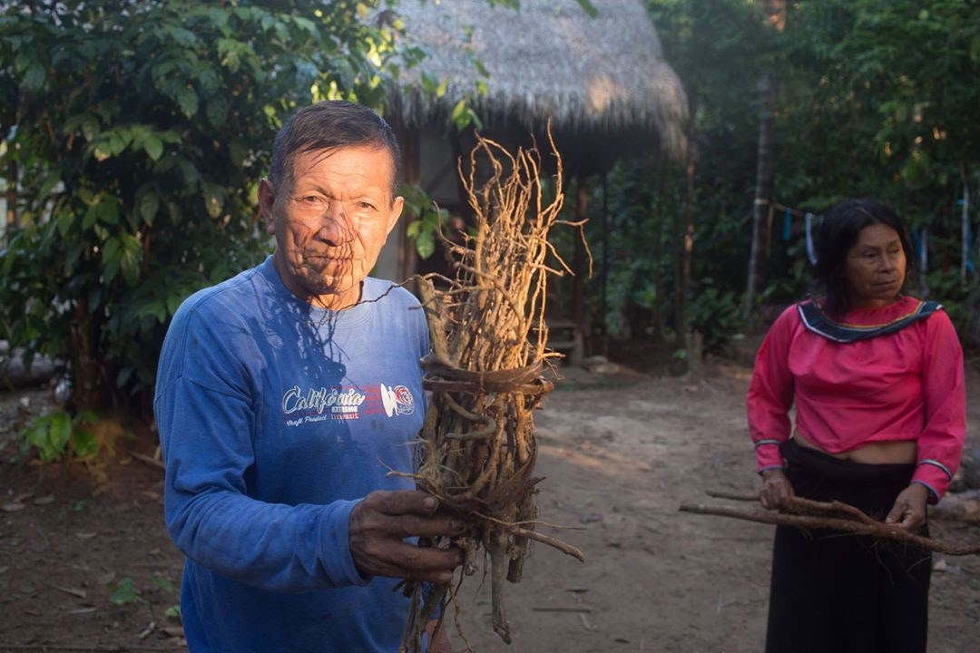 Retiro de Ayahuasca y Dieta de Plantas Maestras en Perú