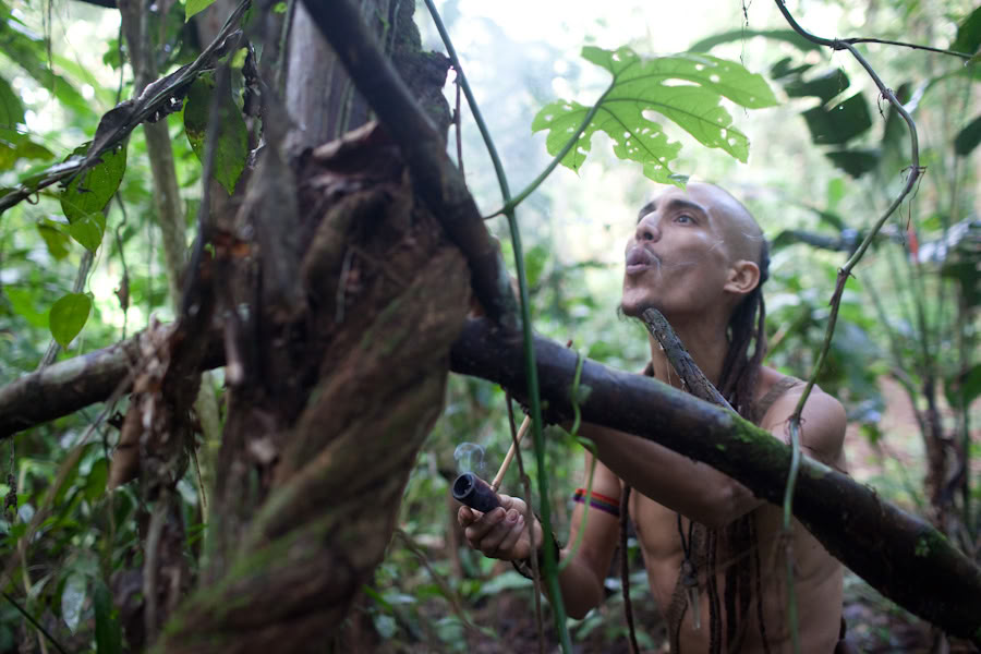 Retiro de Ayahuasca y Dieta de Plantas Maestras en Perú