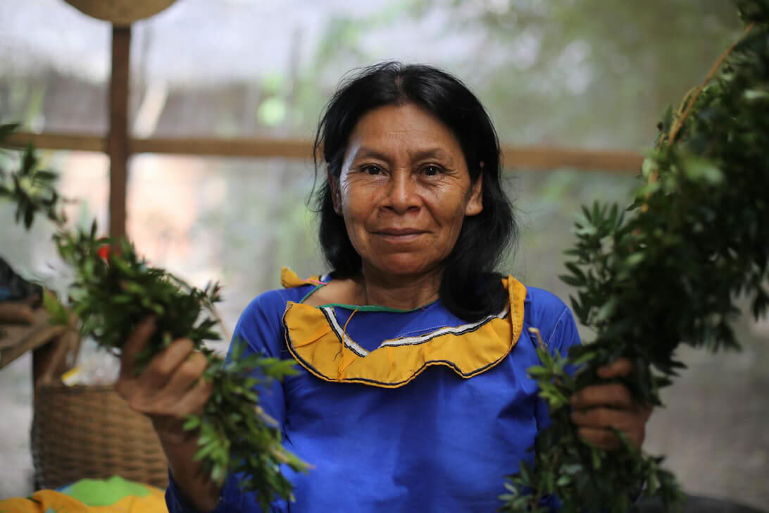 Retiro de Ayahuasca y Dieta de Plantas Maestras en Perú